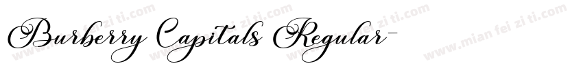 Burberry Capitals Regular字体转换